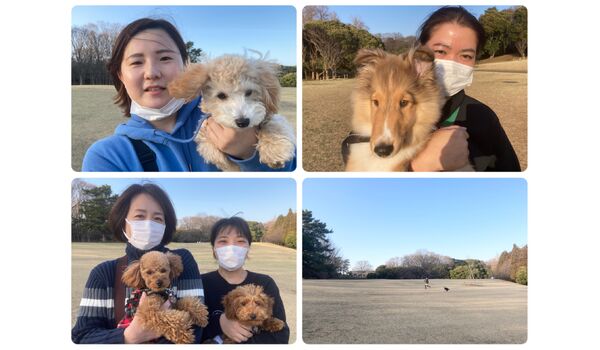 犬のしつけ教室 出張レッスン 無駄吠えの矯正レッスンを行うドッグスクール ヴィッセ今日のわん子達 3月11日