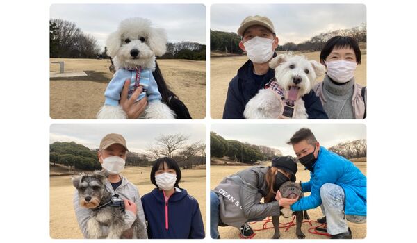 犬のしつけ教室 出張レッスン 無駄吠えの矯正レッスンを行うドッグスクール ヴィッセの今日のわん子達 3月9日