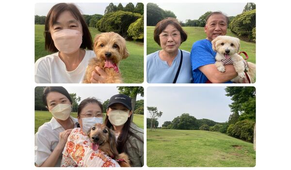 犬のしつけ教室 出張レッスン 無駄吠えの矯正レッスンを行うドッグスクール ヴィッセの今日のわん子達 5月日