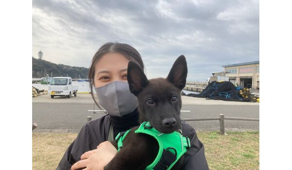 犬のしつけ教室 出張レッスン 無駄吠えの矯正レッスンを行うドッグスクール ヴィッセの今日のわん子 11月29日 犬のしつけ 出張レッスンで大切なことは飼い主が学ぶこと