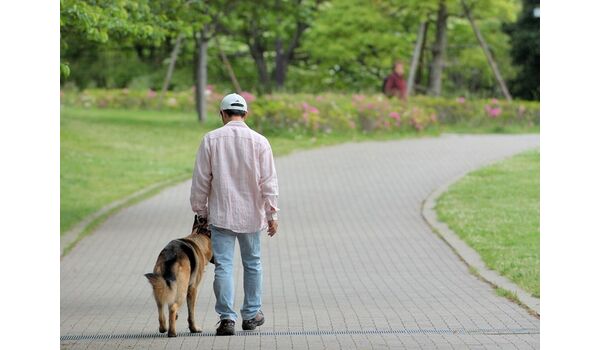 あなたの犬は幸せですか お散歩の意味 犬のしつけ 出張レッスンで大切なことは飼い主が学ぶこと