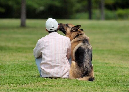 子犬