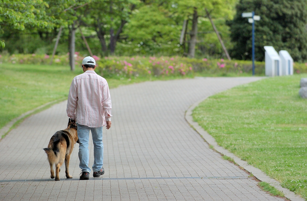 犬のしつけ教室 出張レッスンのドッグスクールヴィッセ